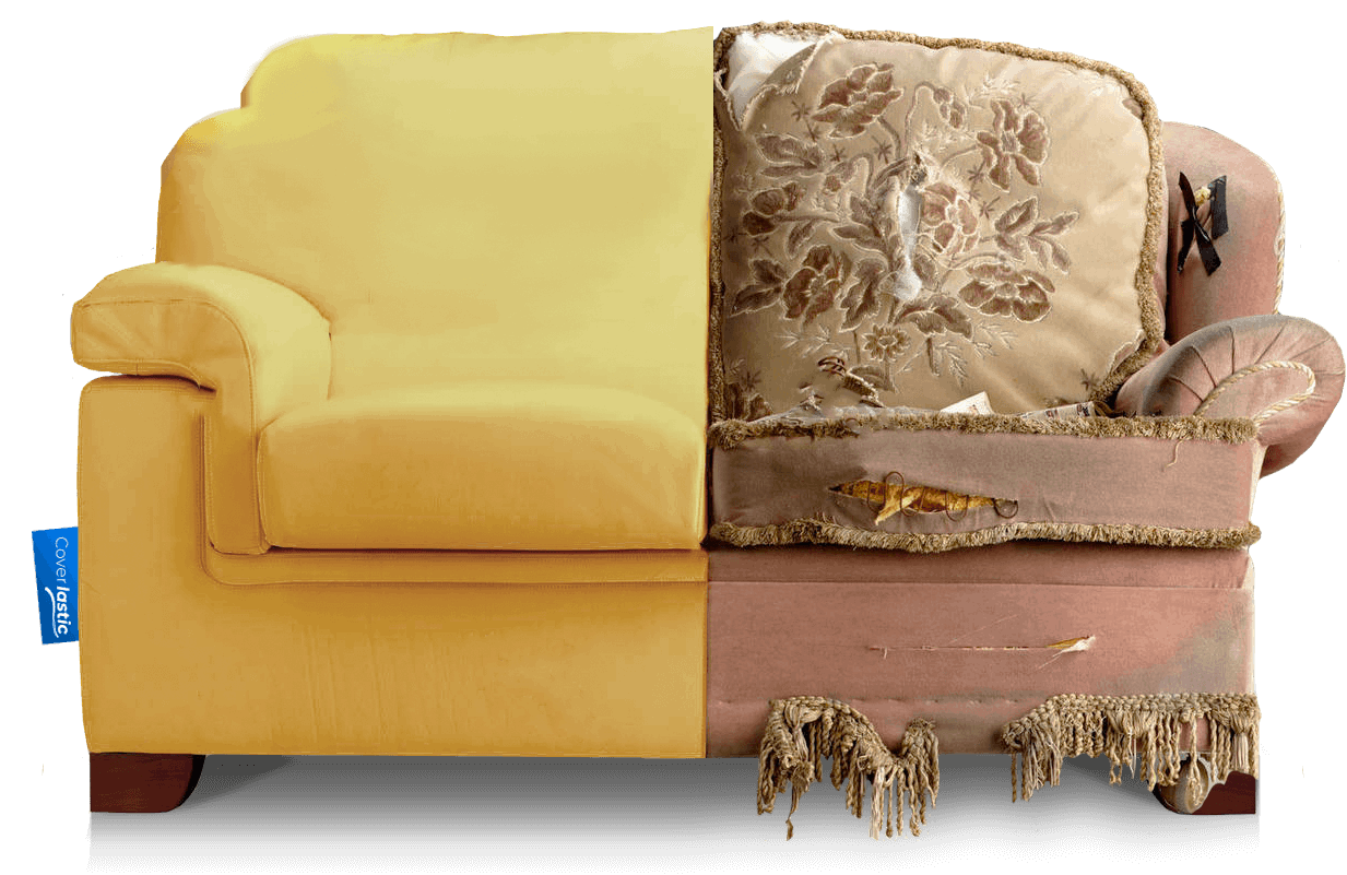 Coverlastic 3 Bottles